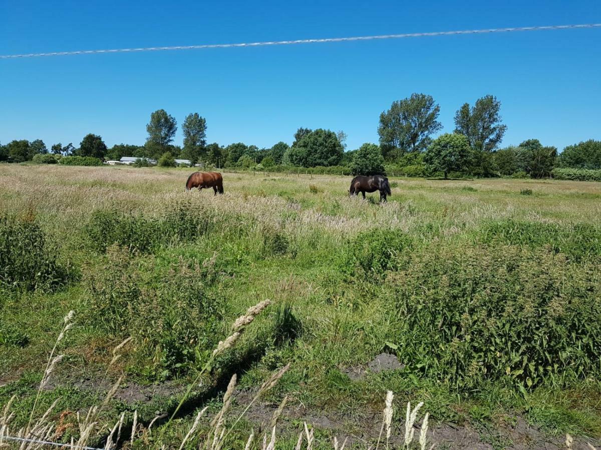 Urlaub Bei Hauenstein Leilighet Born Eksteriør bilde