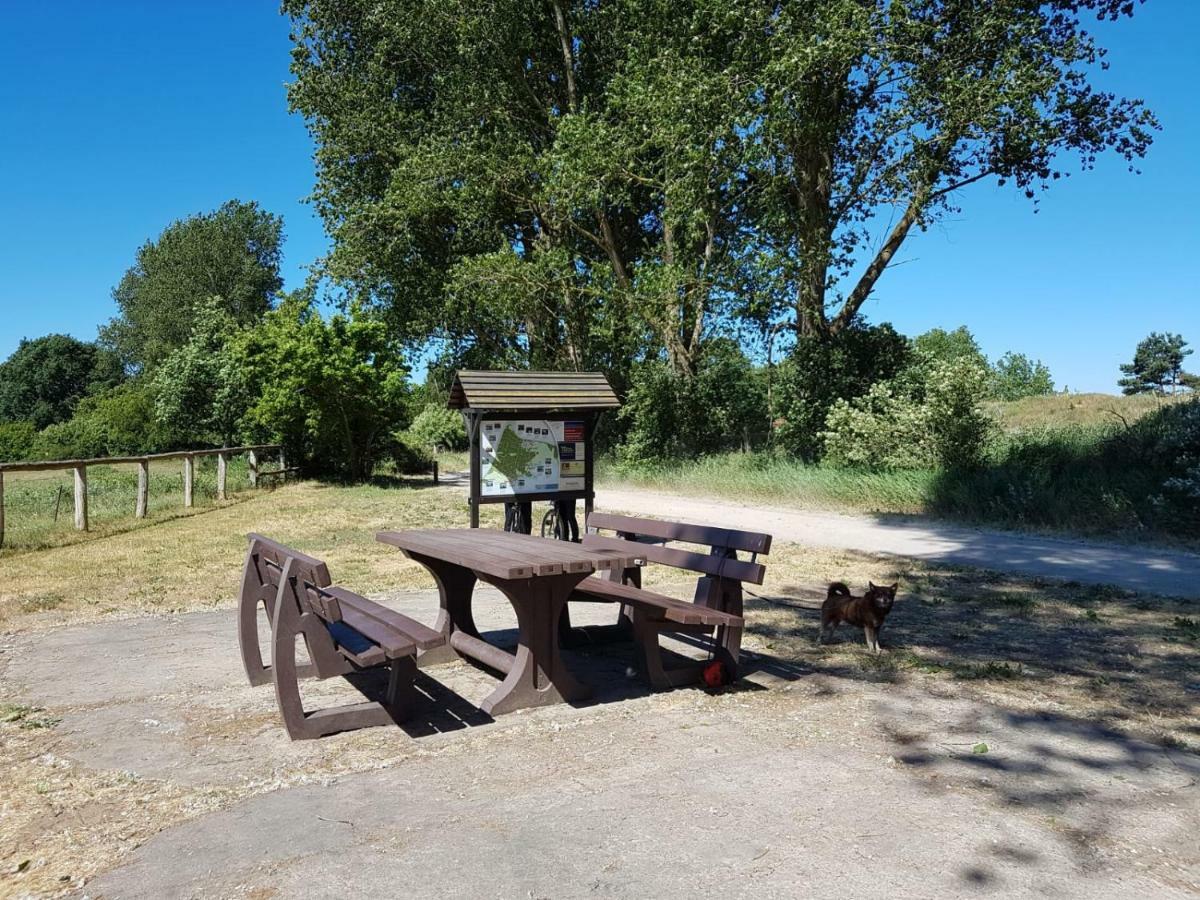 Urlaub Bei Hauenstein Leilighet Born Eksteriør bilde